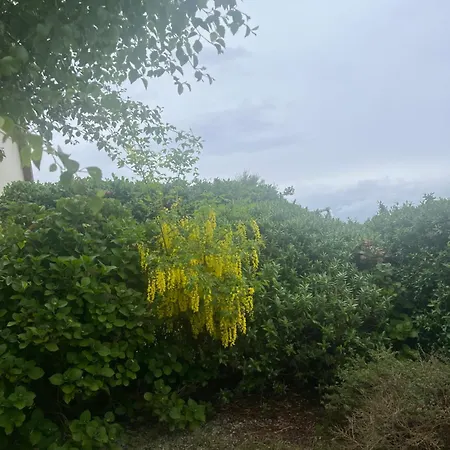 Atlantic Way Apartment Sligo
